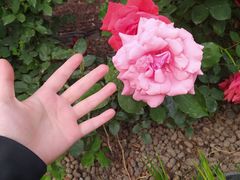 -和合谷(新街口店)