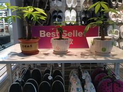 -法雅体育工厂店(皂君庙路店)