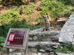 -北京上方山国家森林公园
