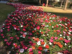 -二沙岛艺术公园