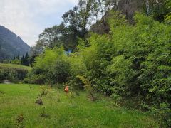 -终南山南五台景区