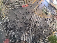 -涩谷全向十字路口