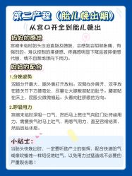 -北京嘉禾医疗