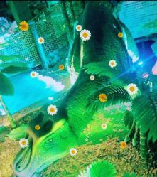 -恐龙探索乐园(磁器口店)