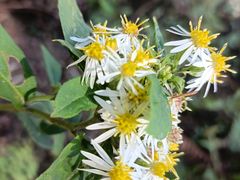 -印象牯岭小厨(牯岭街店)