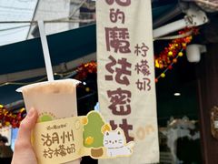 -猫的魔法密林(衣裳街店)