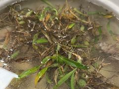 -潮陈记土鸡火锅(东厦北路店)