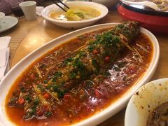 -陈麻婆豆腐总店