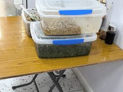 -和众大油条(维明路店)