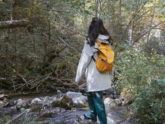 -峡谷浮石林景区