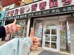 -青奢宠物·青奢猫舍