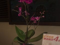 -金链花·泰国餐厅(国贸店)