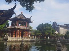 -碧江金楼