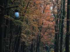 -山王坪喀斯特国家生态公园