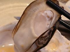 -千岛蚝高压锅生蚝·人参火锅(白云万达店)