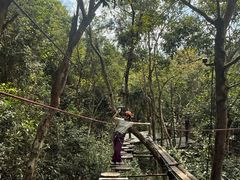 -海南槟榔谷黎苗文化旅游区