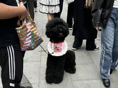 -金茂览秀城