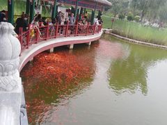 -西海子公园