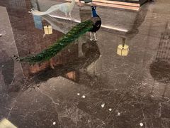 -西双版纳融创皇冠假日度假酒店