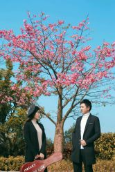 -1986婚纱摄影(清城店)