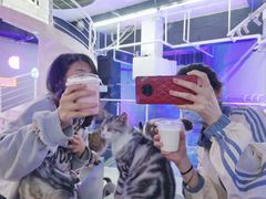 -极木²邸 人与宠物·互动社区