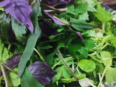 -黔豆园豆米火锅·野菜馆(都匀二店)