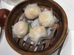 虾饺皇-潮福城大酒楼·潮味粤品·港式点心(湖滨北路店)