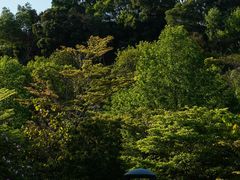 -聚龙山公园