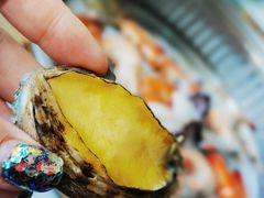 -绿岛港轩海鲜烤肉涮锅自助餐厅