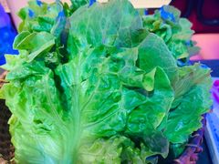 -十三姨正合丰烤肉(营迹路店)