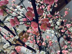 -蜜桃餐厅·伴山(湖滨商业街店)