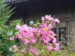 -东天目山风景区