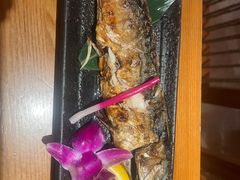-有喜屋·鲜鸡烧鸟·居酒屋(安龙路店)