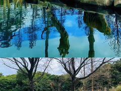-上海野生动物园