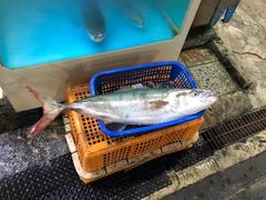 -西归浦每天偶来市场