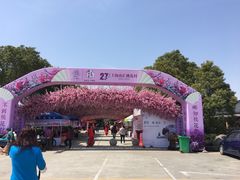 -南汇桃花村