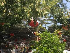 烤虹鳟鱼-望湖烤鱼