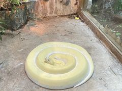 -上海大自然野生昆虫馆(东方明珠·爬宠昆虫探索中心)