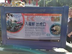 -龙虎塔