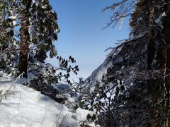 -瓦屋山景区