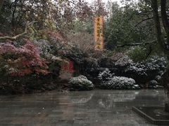 -杭州黄龙洞