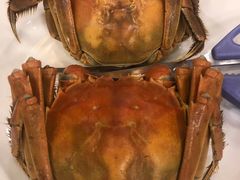 清蒸大闸蟹-王宝和酒家(黄浦店)