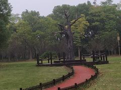-梁鸿国家湿地公园