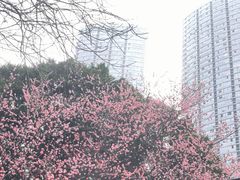 -观音桥步行街