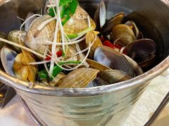一桶黄蚬-渔娘渔家丹东海鲜(东直门店)