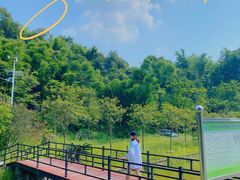 -红山村
