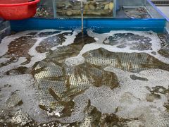 -百佳永辉超市(太阳广场店)