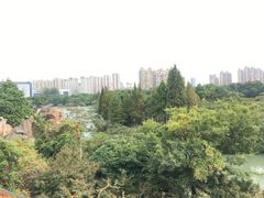 -青枫公园