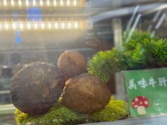 -一朵菌·野生菌探索家火锅(南亚店)