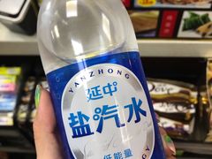 -龙阳路磁悬浮列车总站-停车场